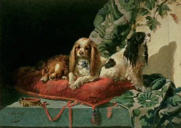 King Charles Spaniels